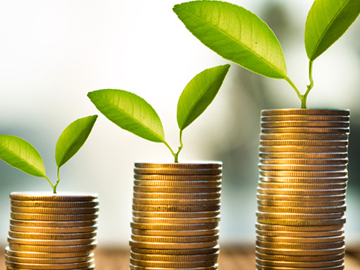 Financial Projections